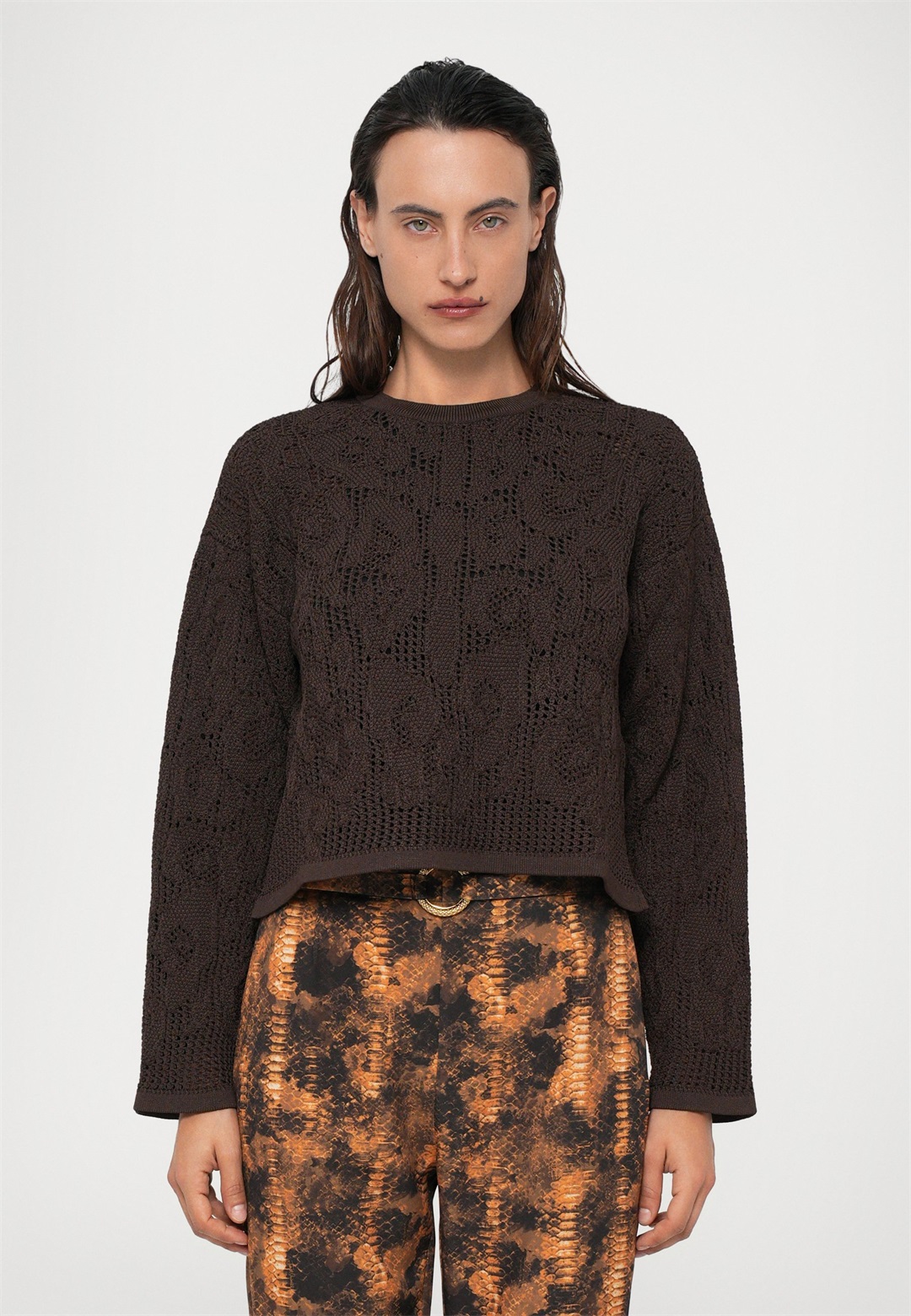 Roberto Cavalli SWEATER - Strickpullover - chocolate/dunkelbraun