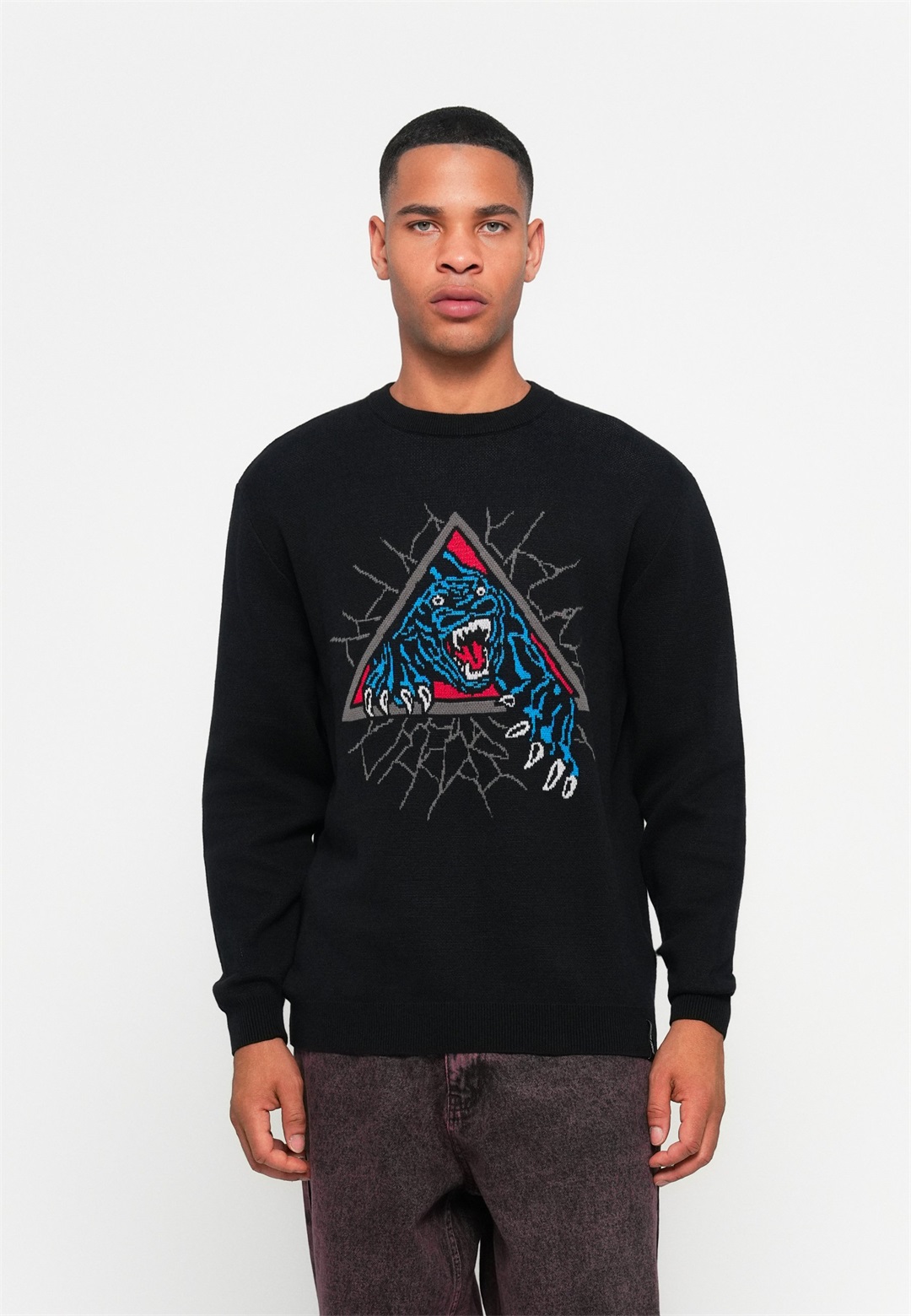 Santa Cruz NATAS PANTHER CREW UNISEX - Strickpullover - black/schwarz