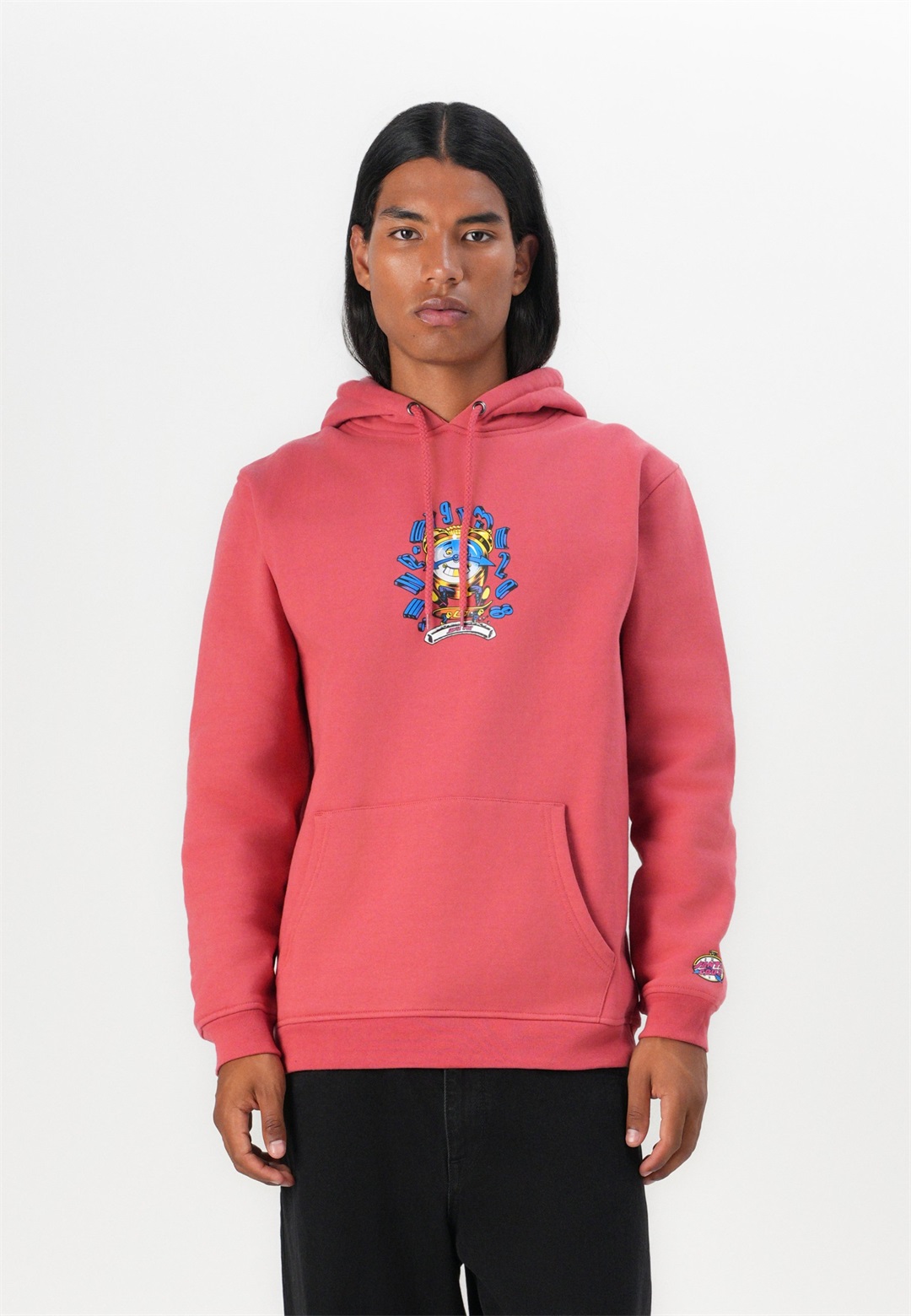 Santa Cruz GRABKE UNISEX - Sweatshirt - astro dust/koralle