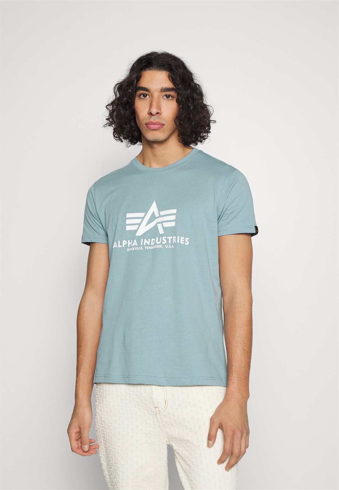Alpha Industries T-Shirt print - grey blue/grau