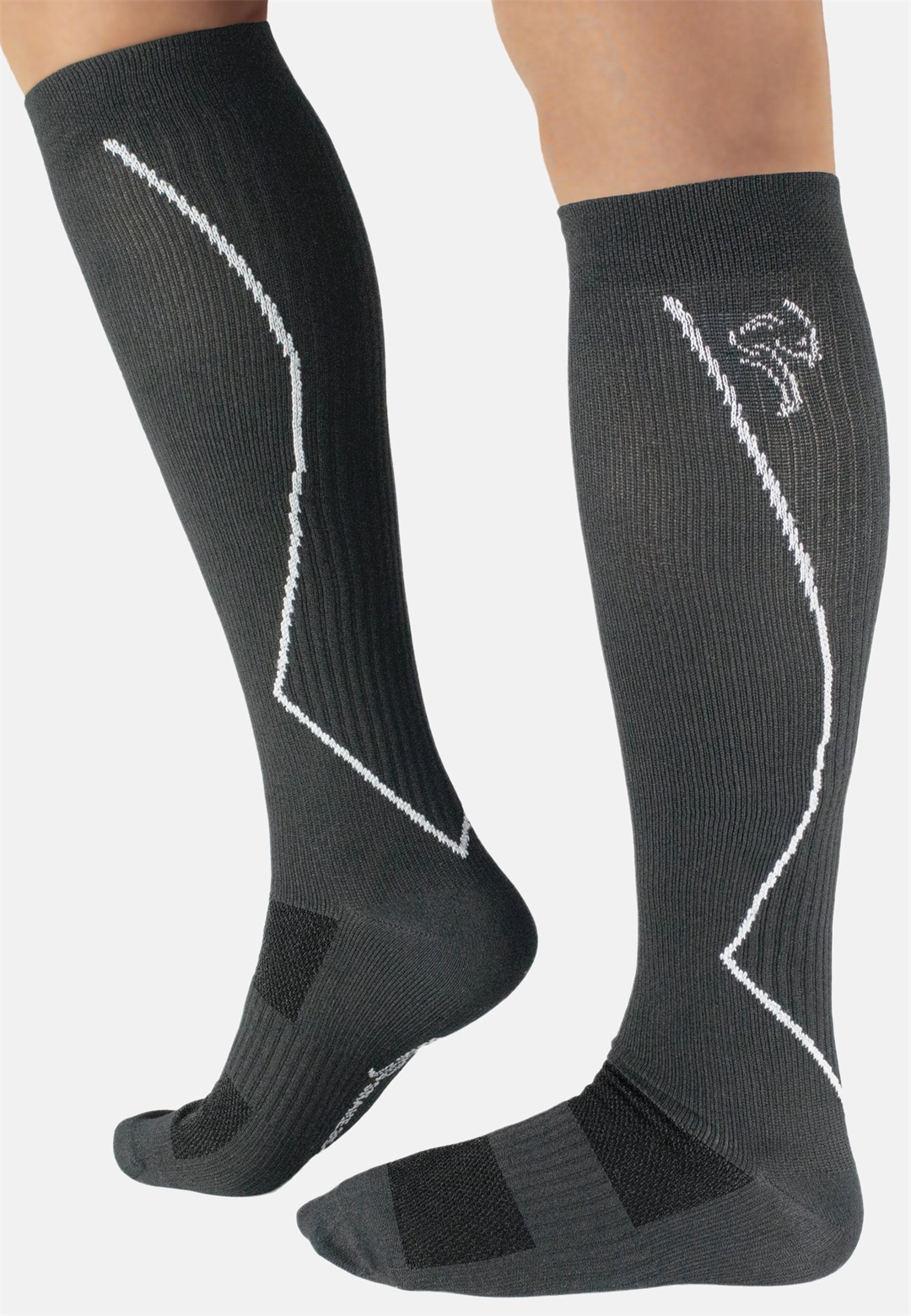 Black Snake KOMPRESSIONS 2 PAAR - Kniestrümpfe - grau