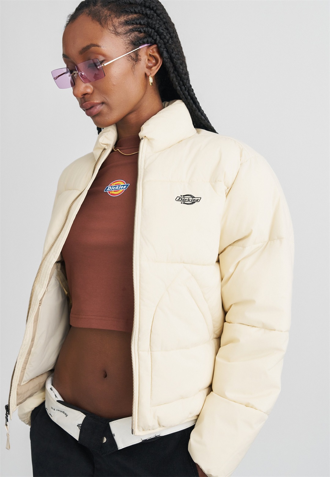 Dickies SUMMERDALE PUFFER - Winterjacke - wood ash/beige