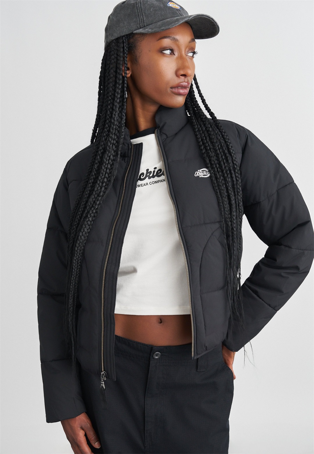 Dickies SUMMERDALE PUFFER - Winterjacke - black/schwarz