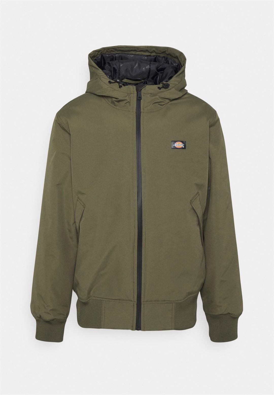 Dickies NEW SARPY JACKET - Übergangsjacke - military green/oliv