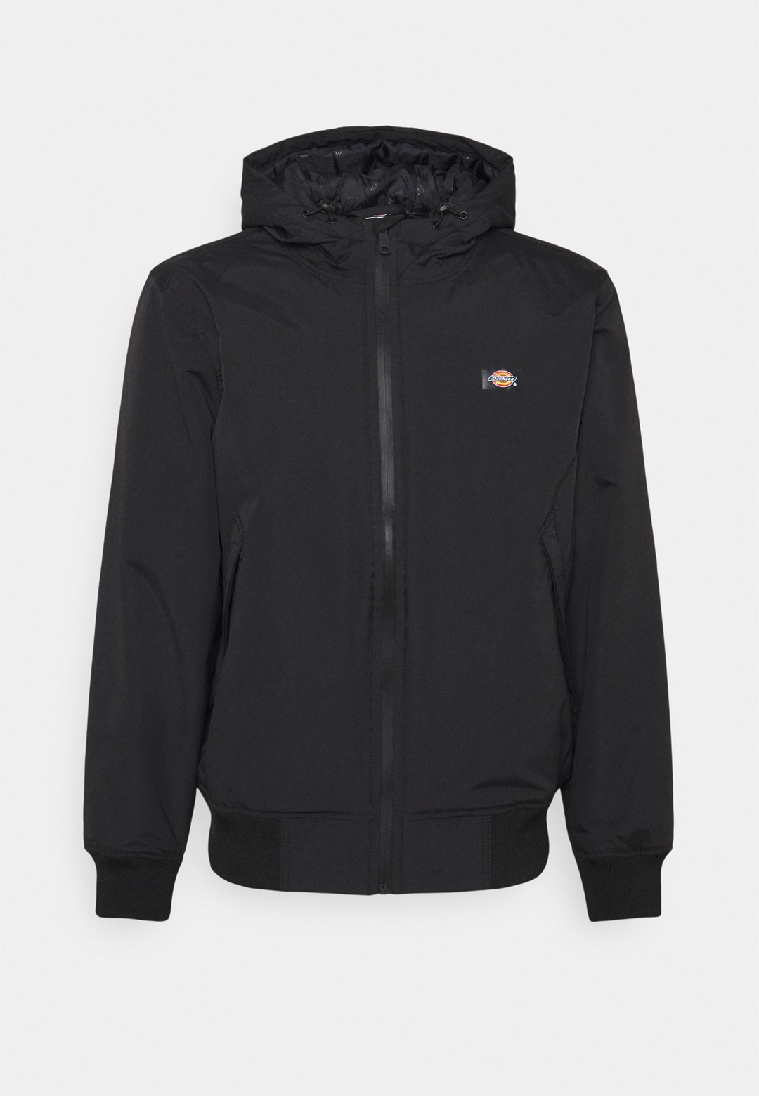 Dickies NEW SARPY JACKET - Übergangsjacke - black/schwarz