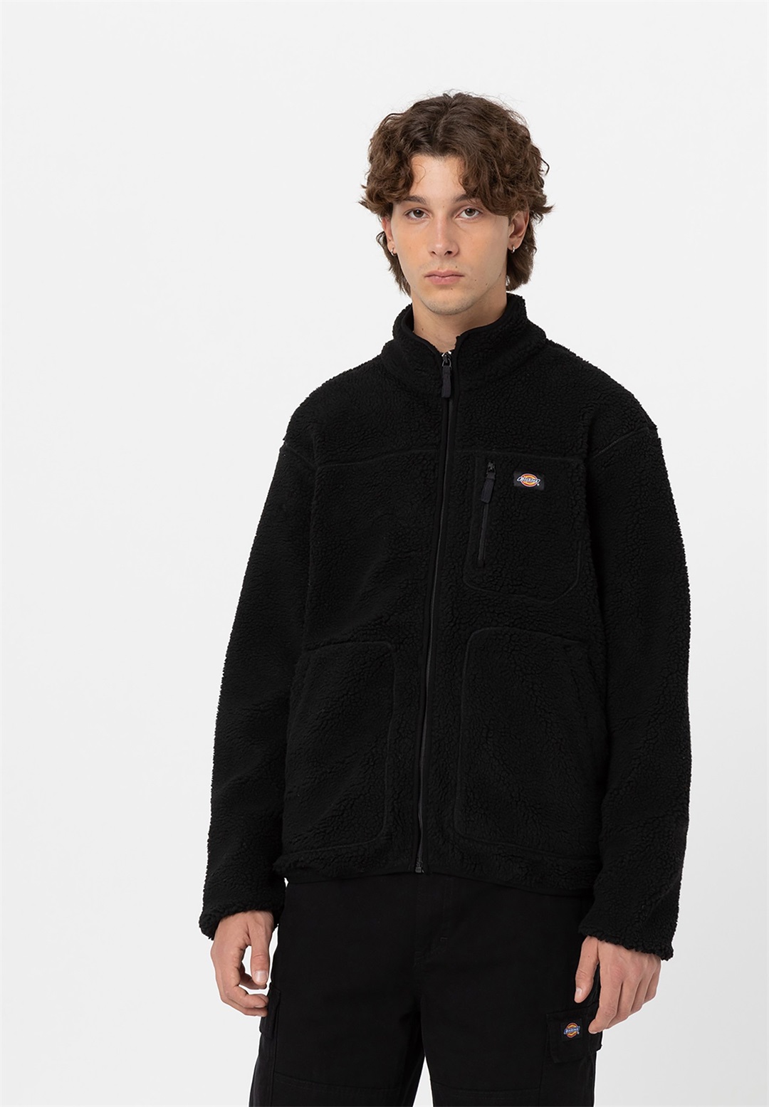 Dickies MOUNT HOPE - Fleecejacke - black/schwarz