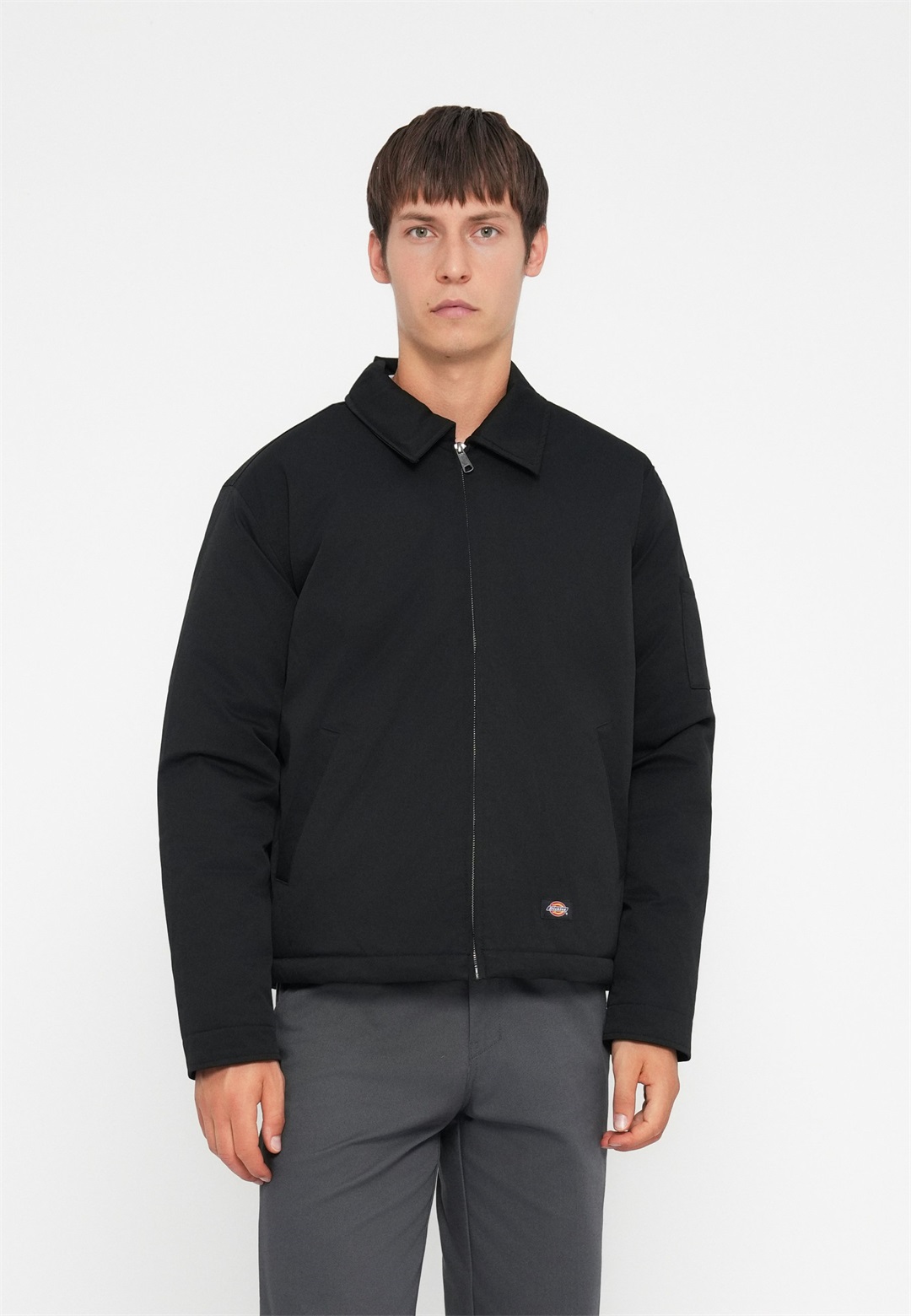 Dickies EISENHOWER PUFFER - Übergangsjacke - black/schwarz