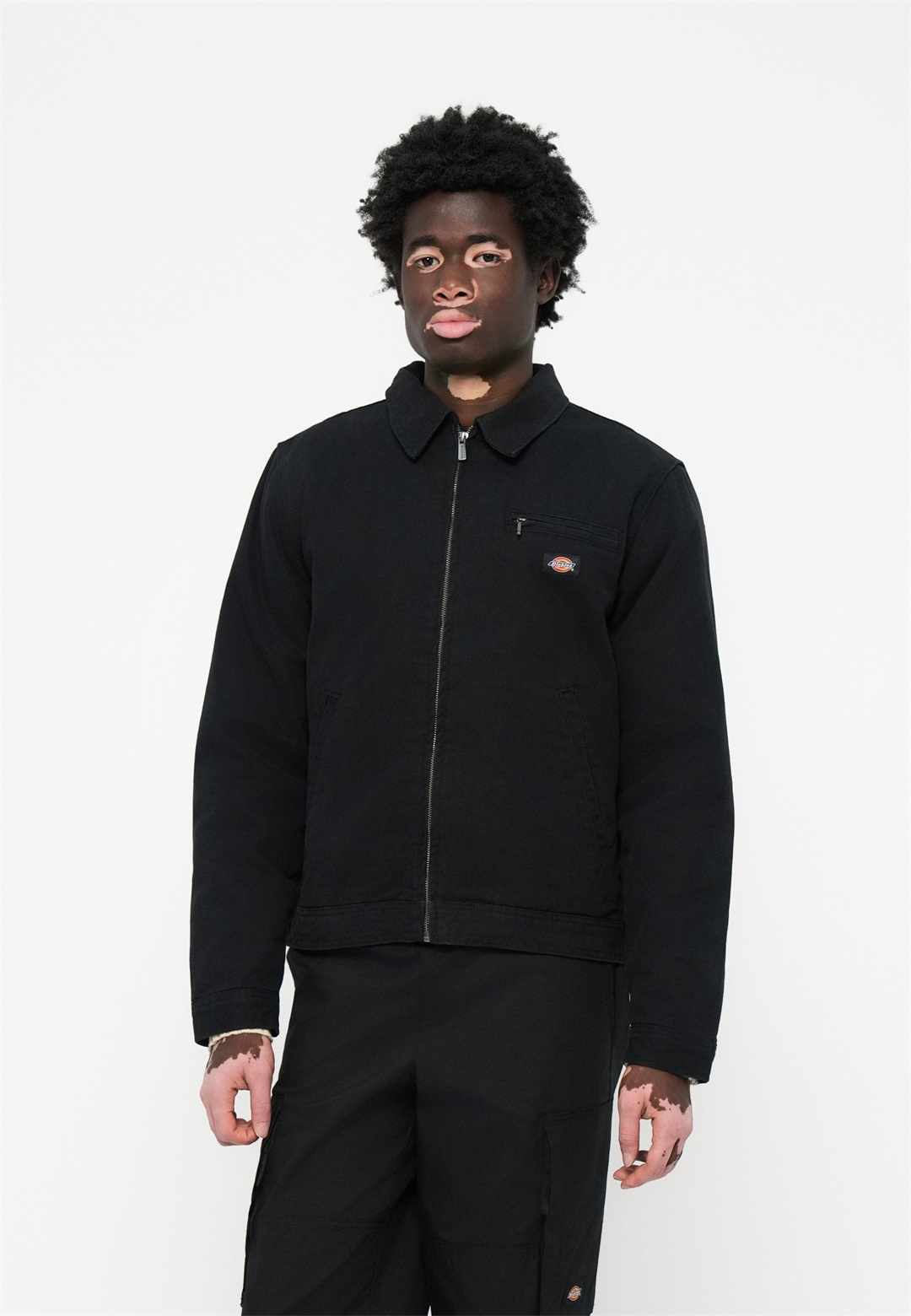 Dickies PAINTER JACKET - Leichte Jacke - black/schwarz