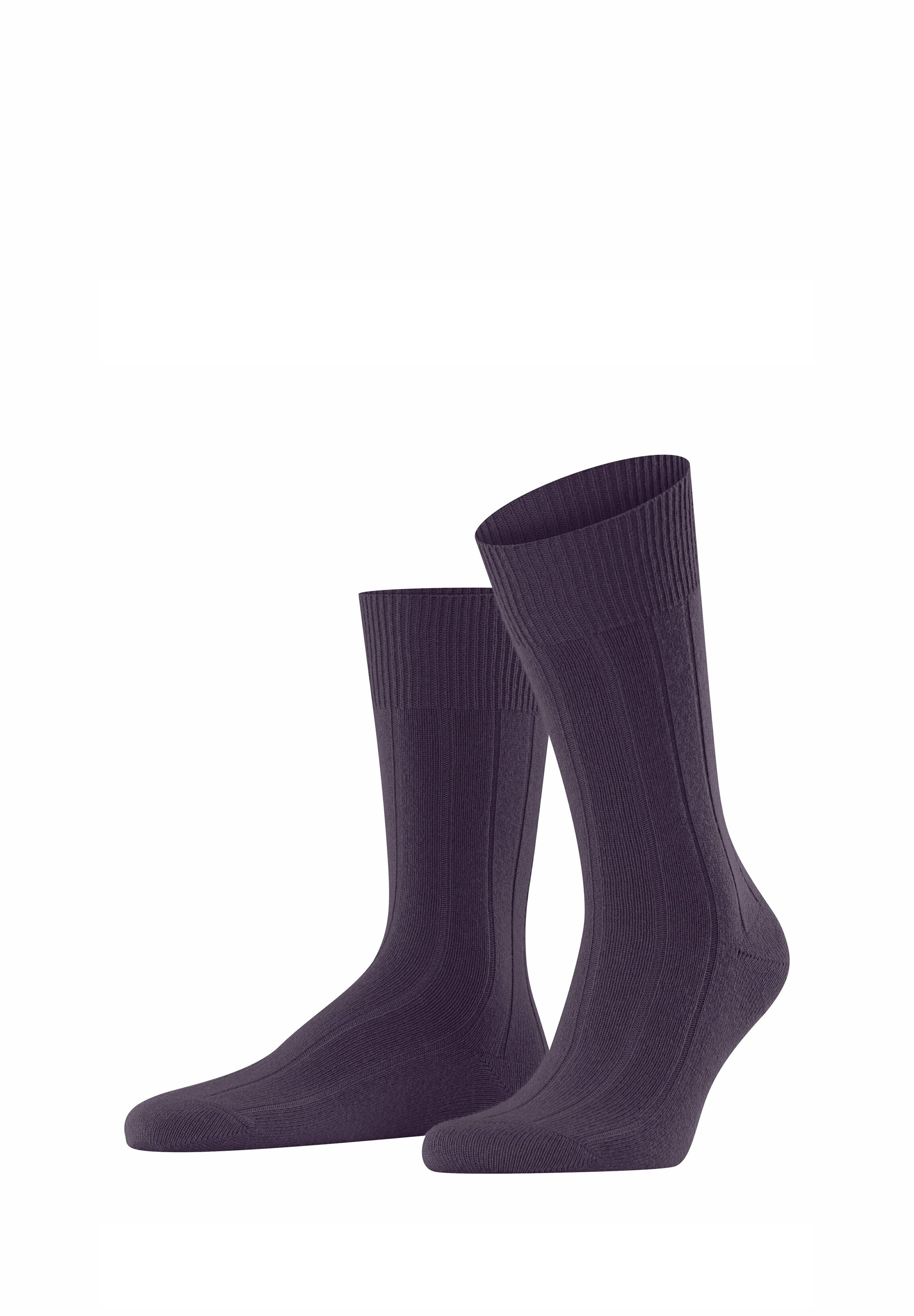 FALKE LHASA RIB - Socken - wineberry/beere