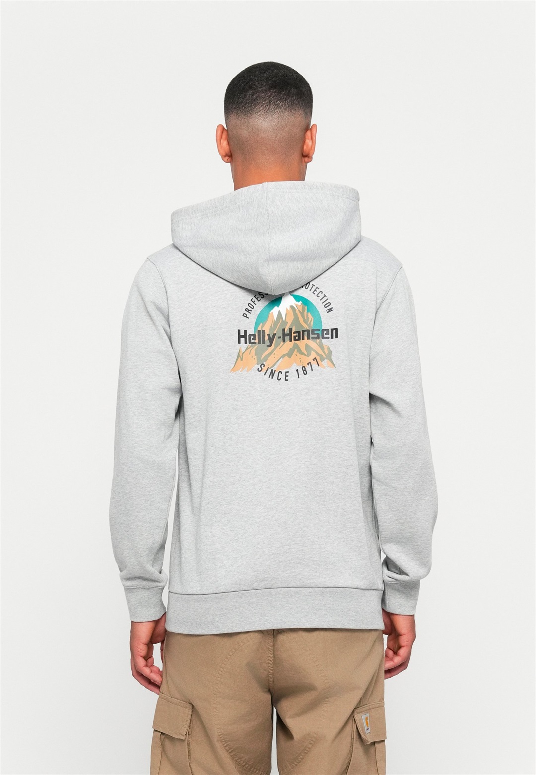 Helly Hansen CORE GRAPHIC HOODIE UNISEX - Sweatshirt - grey melange/grau