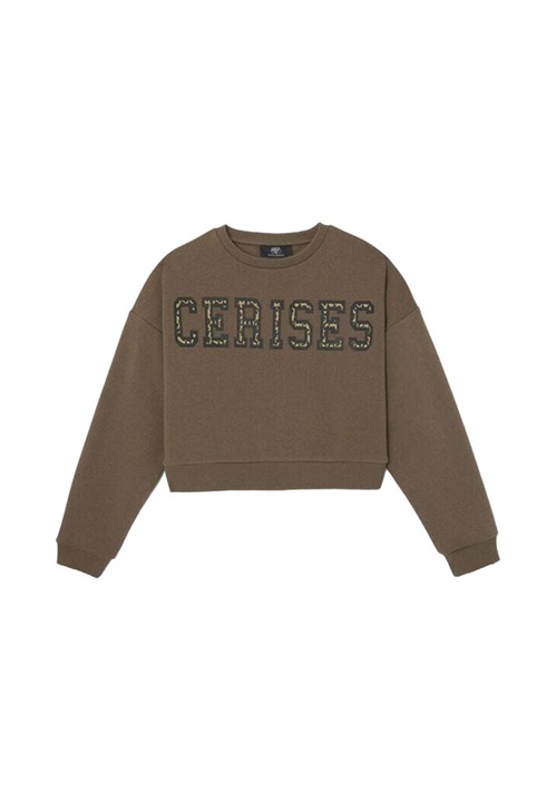 Le Temps Des Cerises DIANEGI - Sweatshirt - chocolat/braun