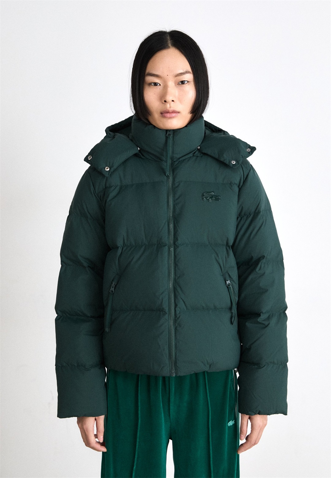Lacoste BF3262_XFJ - Daunenjacke - sinople/dunkelgrün