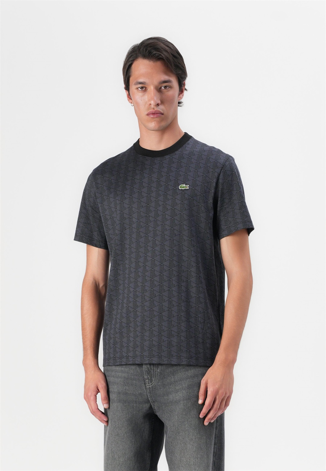 Lacoste T-Shirt print - graphite sombre/black/schwarz