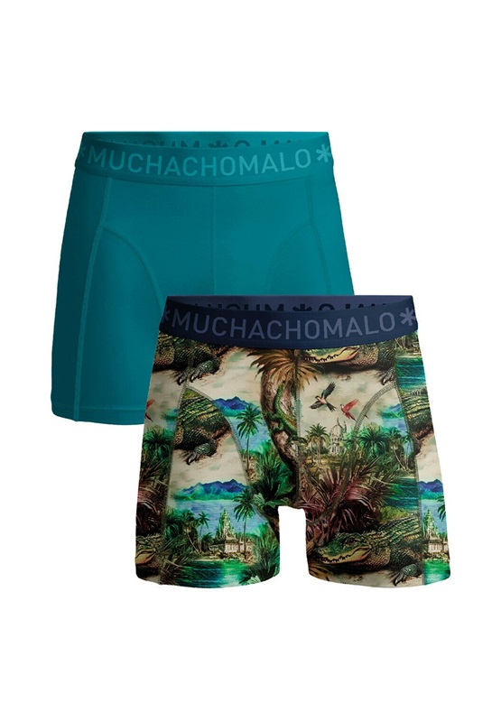 MUCHACHOMALO 2-PACK SOLID - Boxer Briefs - print green/grün