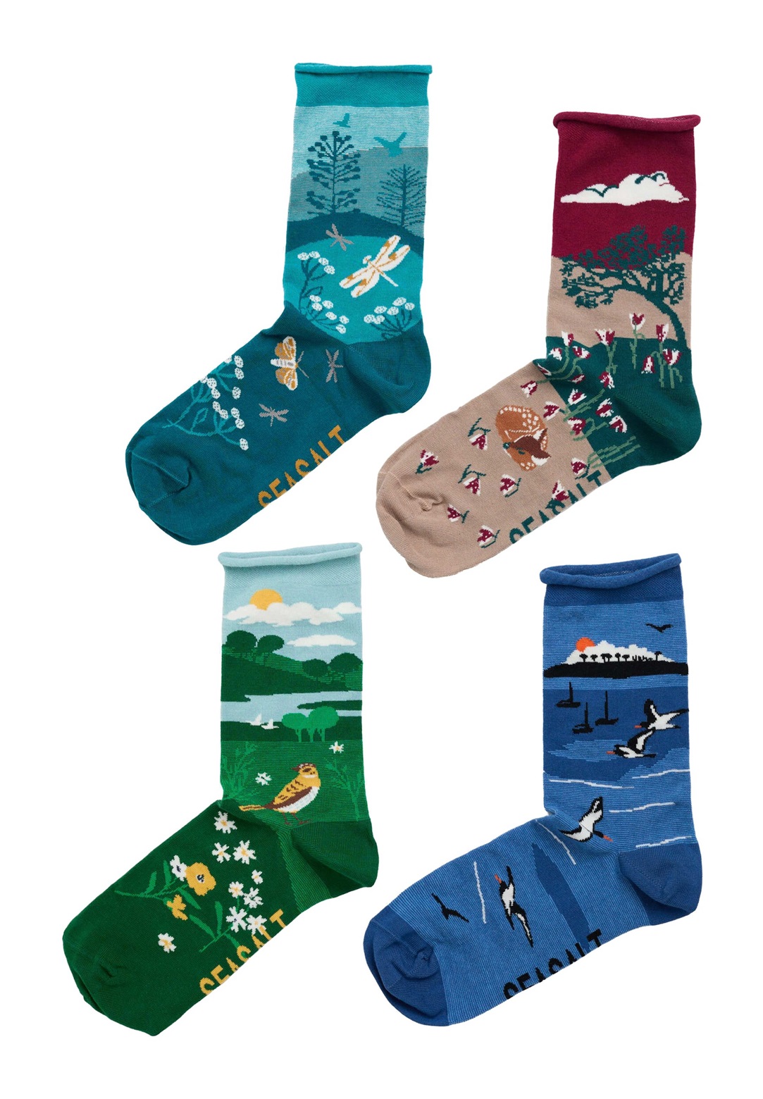 Seasalt Cornwall 4 PACK - Socken - teal - signpost mix/petrol